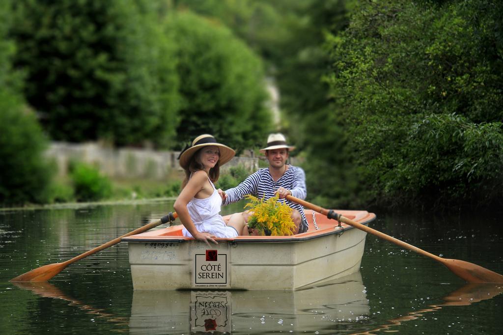 Cote-Serein - Domaine De Venoise Noyers-sur-Serein Buitenkant foto